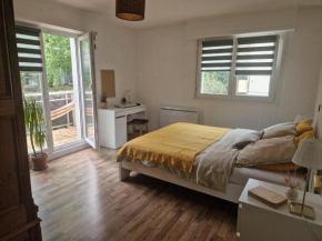 Robertsau Très bel appartement